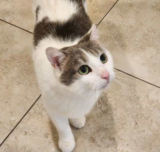 Photo of Bishop