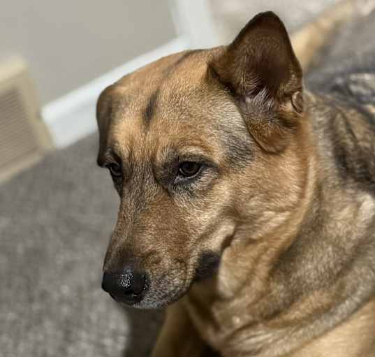 Photo of Hazel