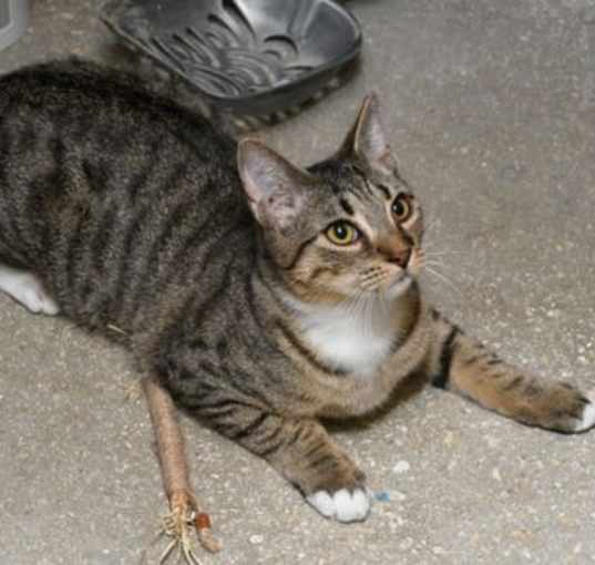 Photo of Harold