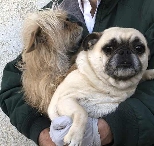 Photo of Fat and Skinny