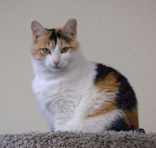 Photo of Sweet Caroline