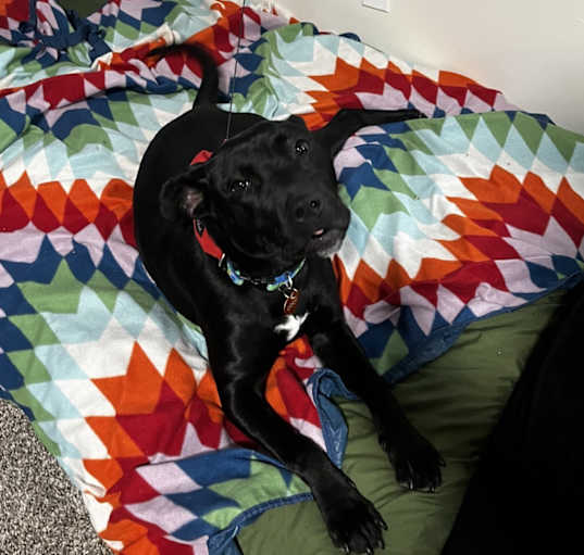 Photo of Coco