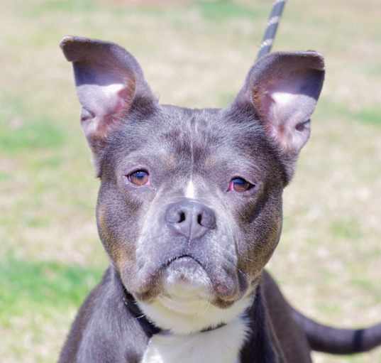 Photo of Fiona
