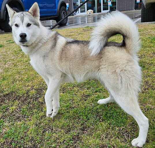 Photo of Maya