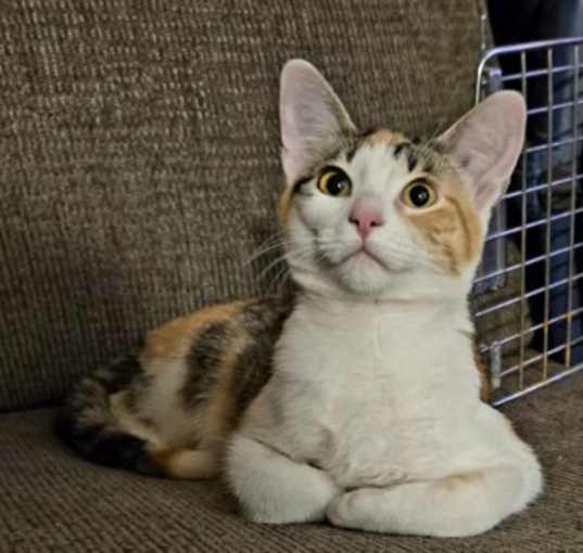 Photo of Gabby
