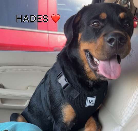 Photo of Hades