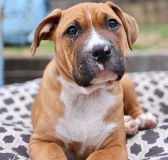 Photo of Chloe