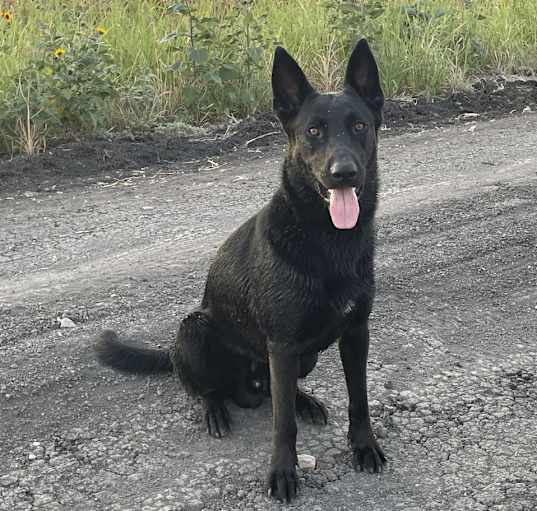 Photo of Bukele