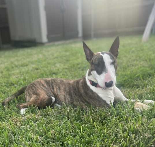 Photo of Luca
