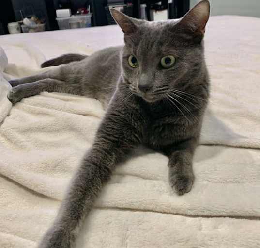Photo of Ivan