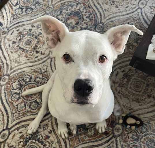 Photo of Nyla