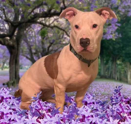 Photo of Molly