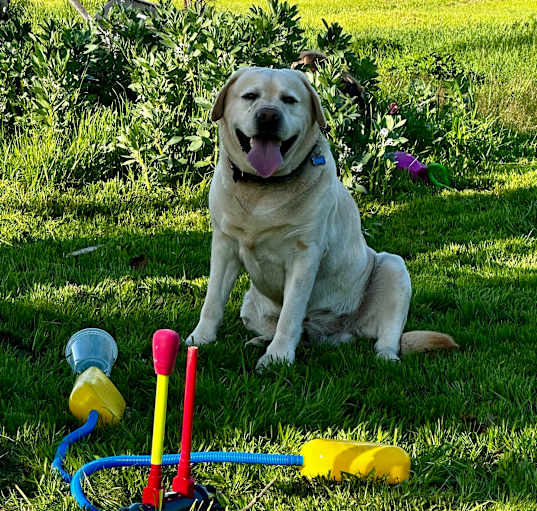 Photo of Duke