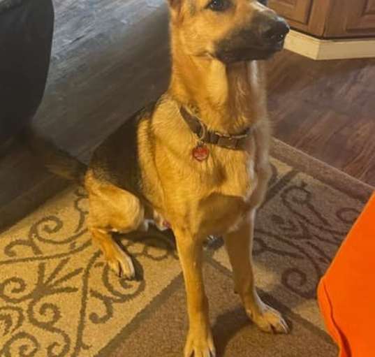 Photo of Apollo
