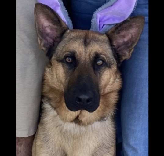Photo of Max