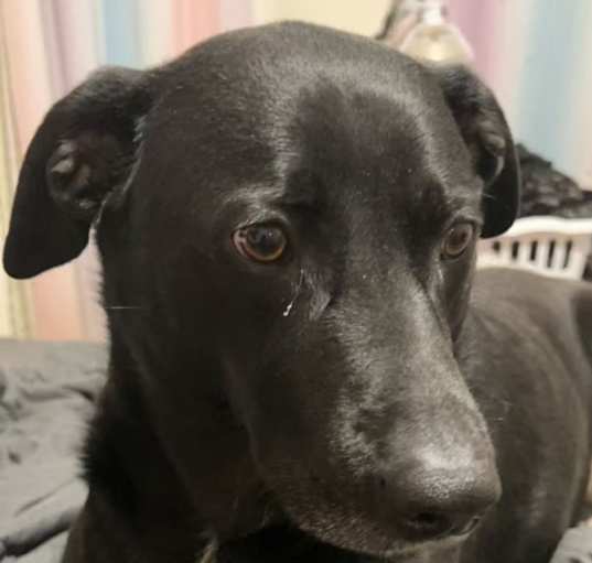 Photo of Candy