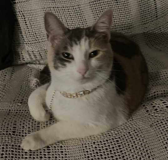 Photo of Glamour
