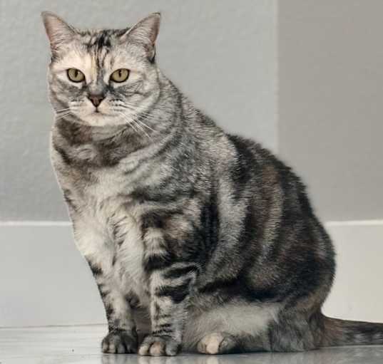 Photo of Phoebe