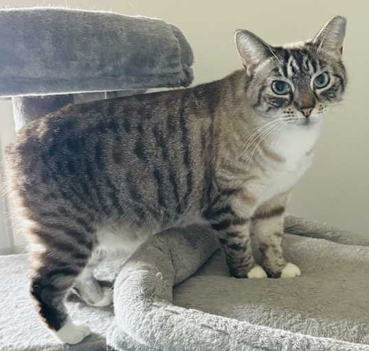 Photo of Jules