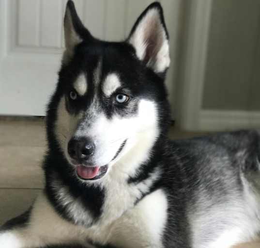 Photo of Sokka