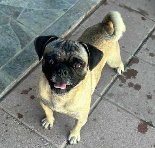 Photo of Benny