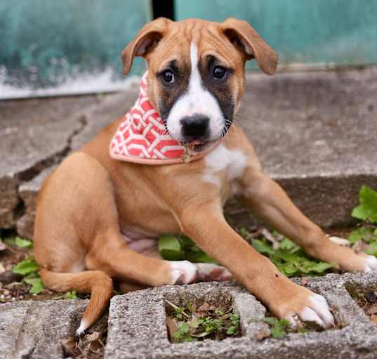 Photo of Betty