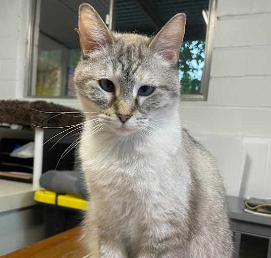 Photo of Fifi