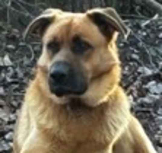 Photo of Chase
