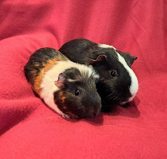 Photo of Alex and Marty