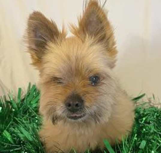 Photo of Jenny