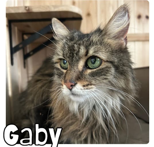 Photo of Gaby