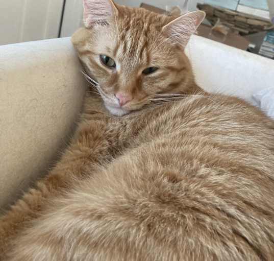 Photo of Elliott (brother of Lewis)