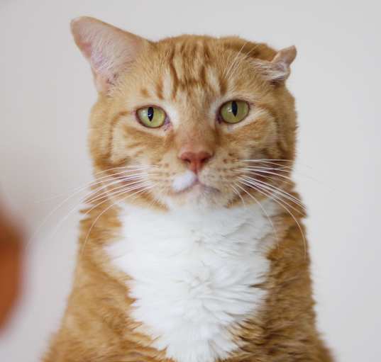 Photo of Lenny