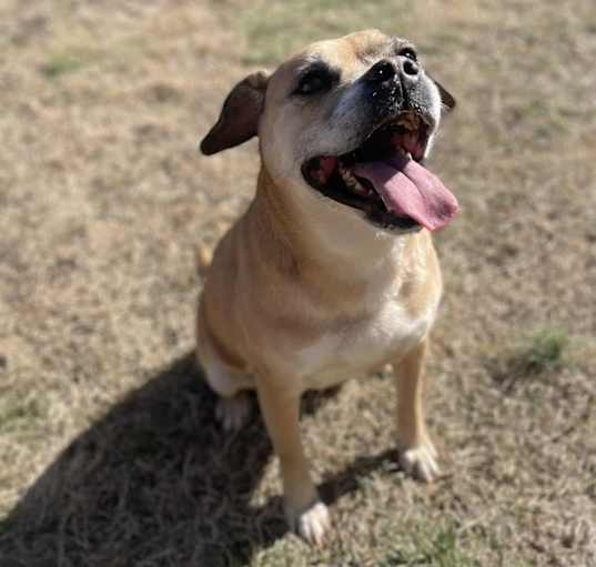 Photo of Rudy