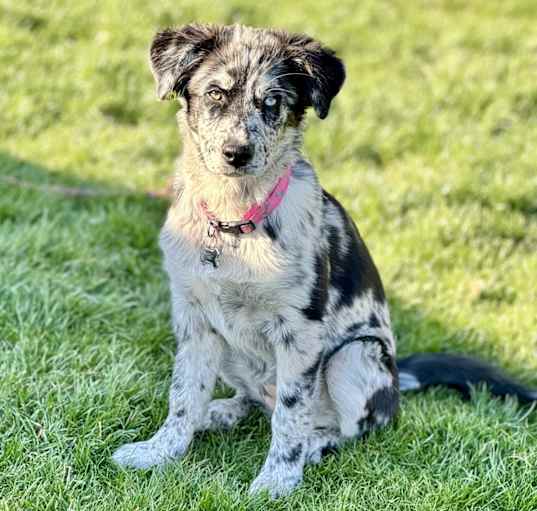 Photo of Chloe