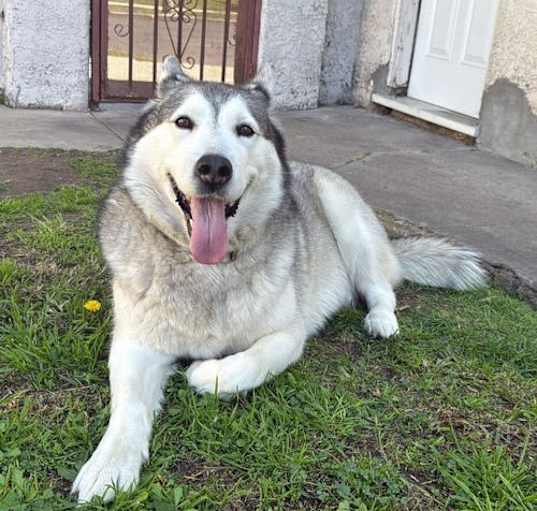 Photo of Yuki