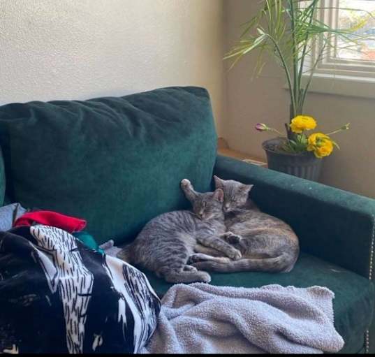Photo of Kit and Dragon