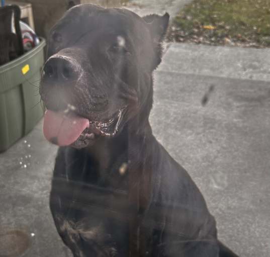 Photo of Jasmine