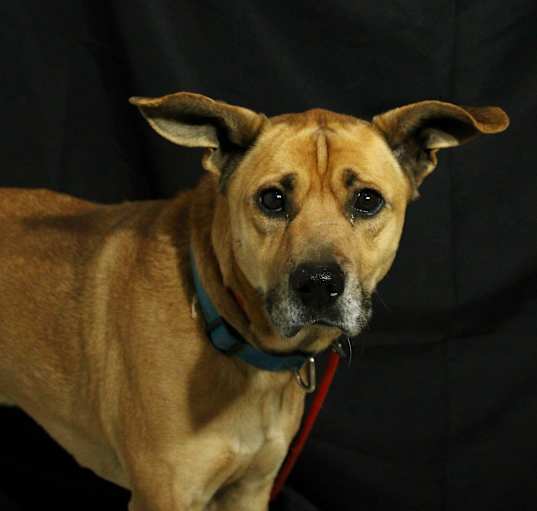 Photo of Tucker