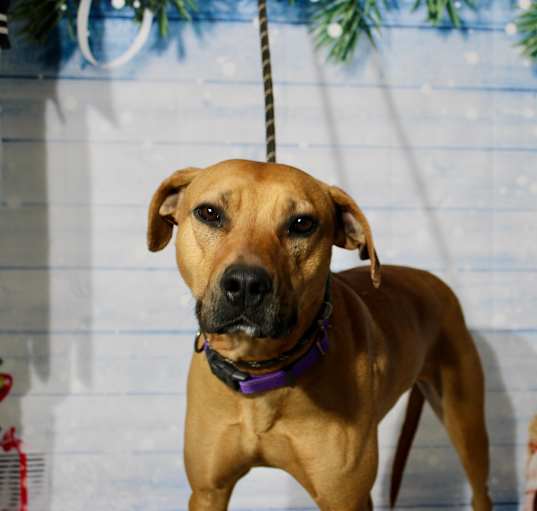 Photo of Mabel