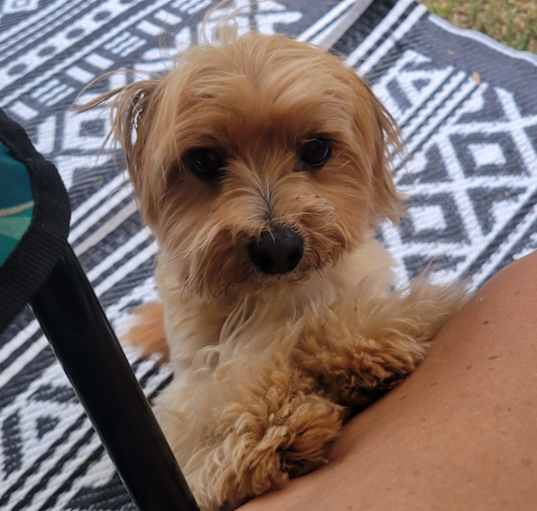 Photo of Teddy