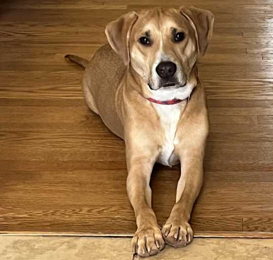Photo of Jake