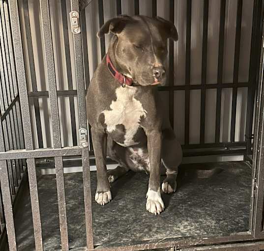 Photo of Brixx