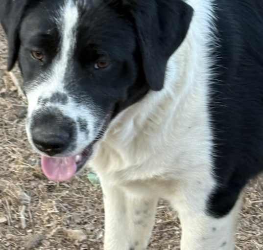 Photo of Junior
