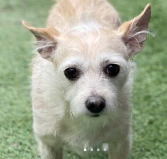 Photo of Sandy Sue