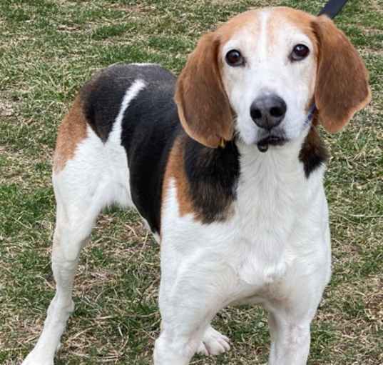 Photo of Bucky