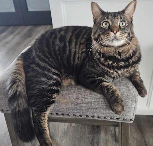 Photo of Maverick