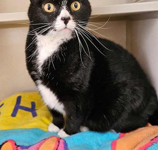 Photo of Maggie