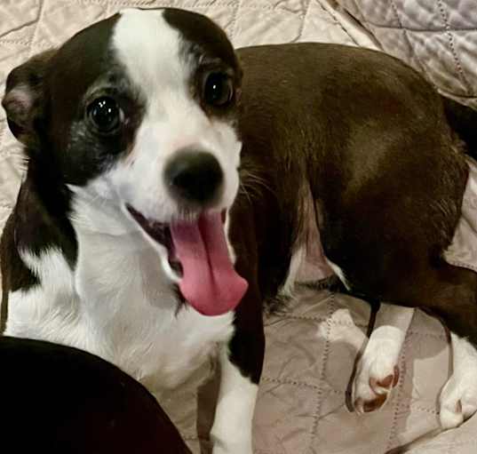Photo of MOLLY