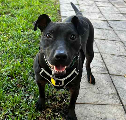 Photo of Della